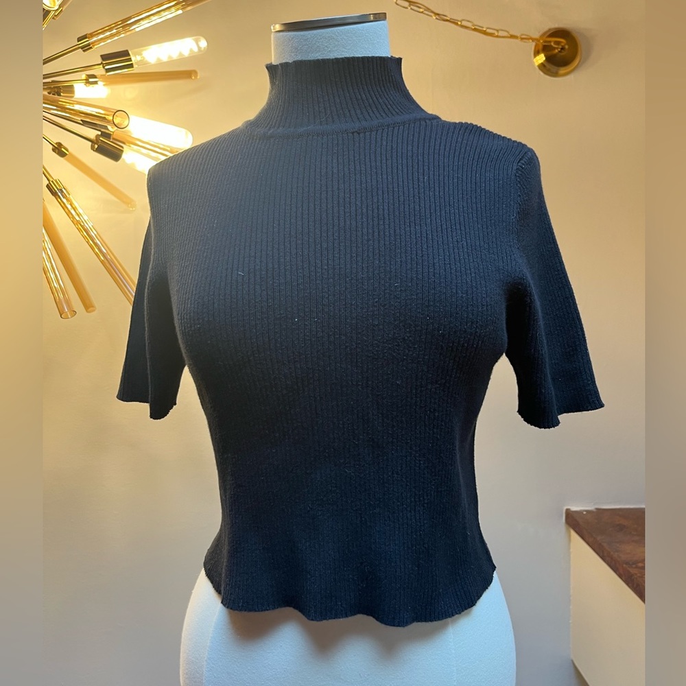 Size Large, Black shirt sleeve turtle neck.